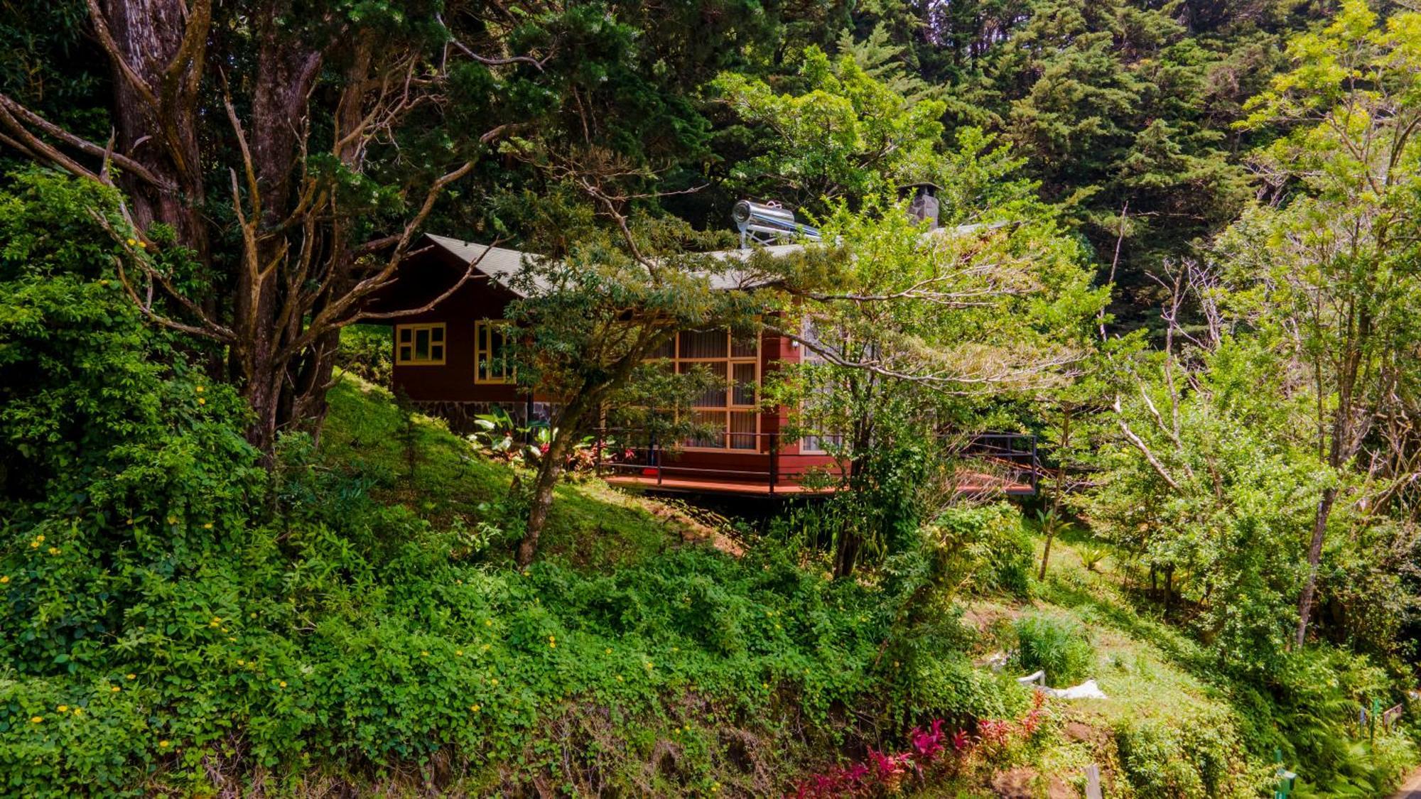 Los Pinos Cabins & Reserve Monteverde Kültér fotó