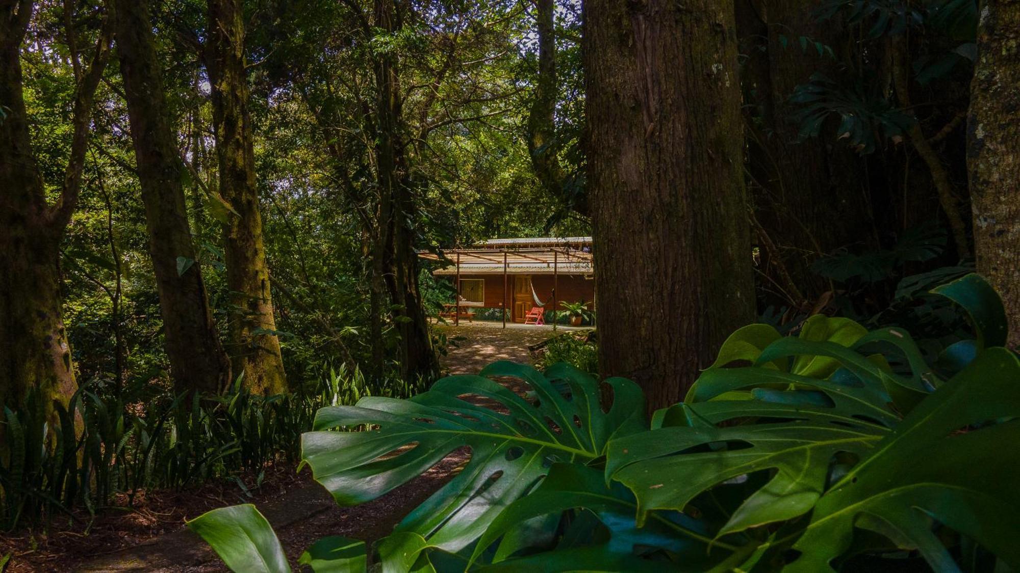 Los Pinos Cabins & Reserve Monteverde Kültér fotó