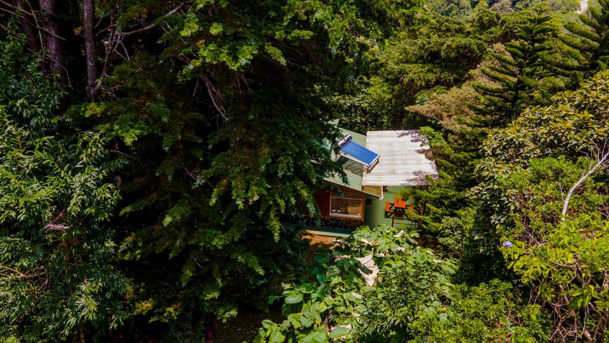 Los Pinos Cabins & Reserve Monteverde Kültér fotó