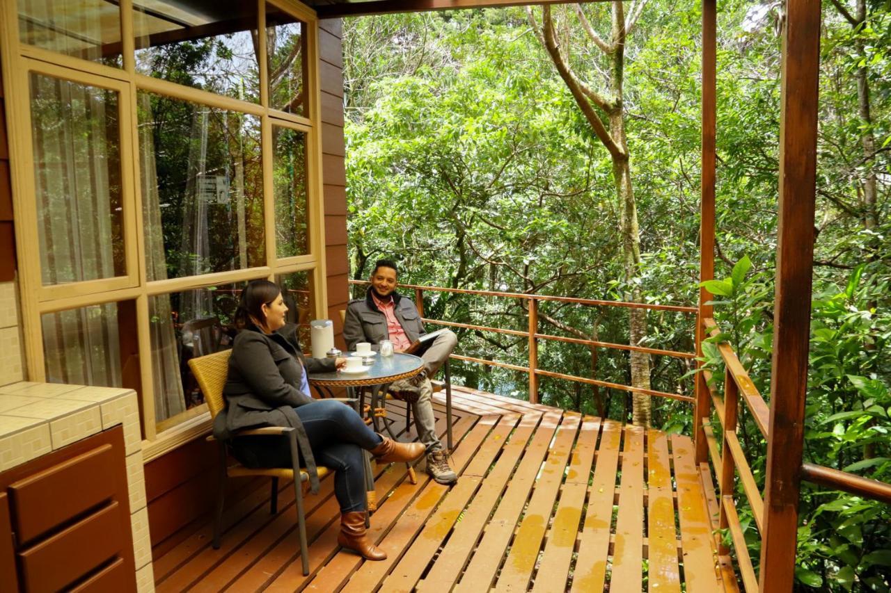 Los Pinos Cabins & Reserve Monteverde Kültér fotó